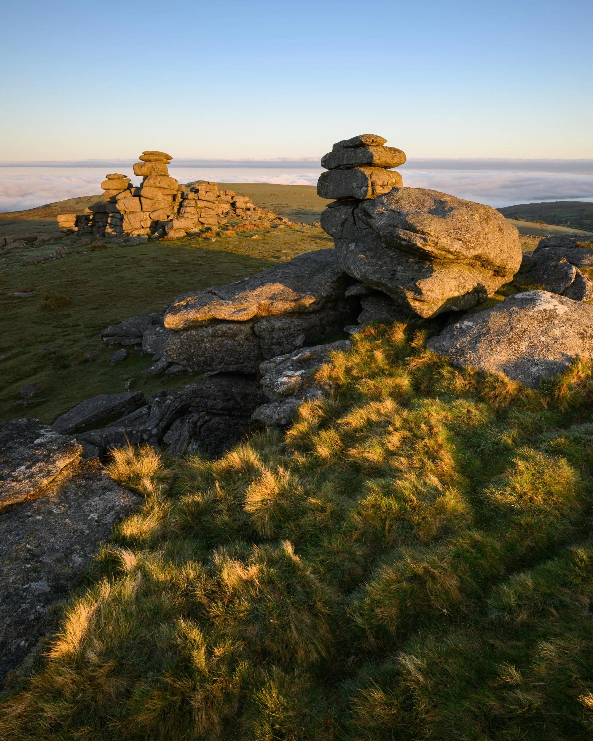 写真集 Taxonomy of a landscape Victoria Sambunaris: Taxonomy of a Landscape — Radius Books